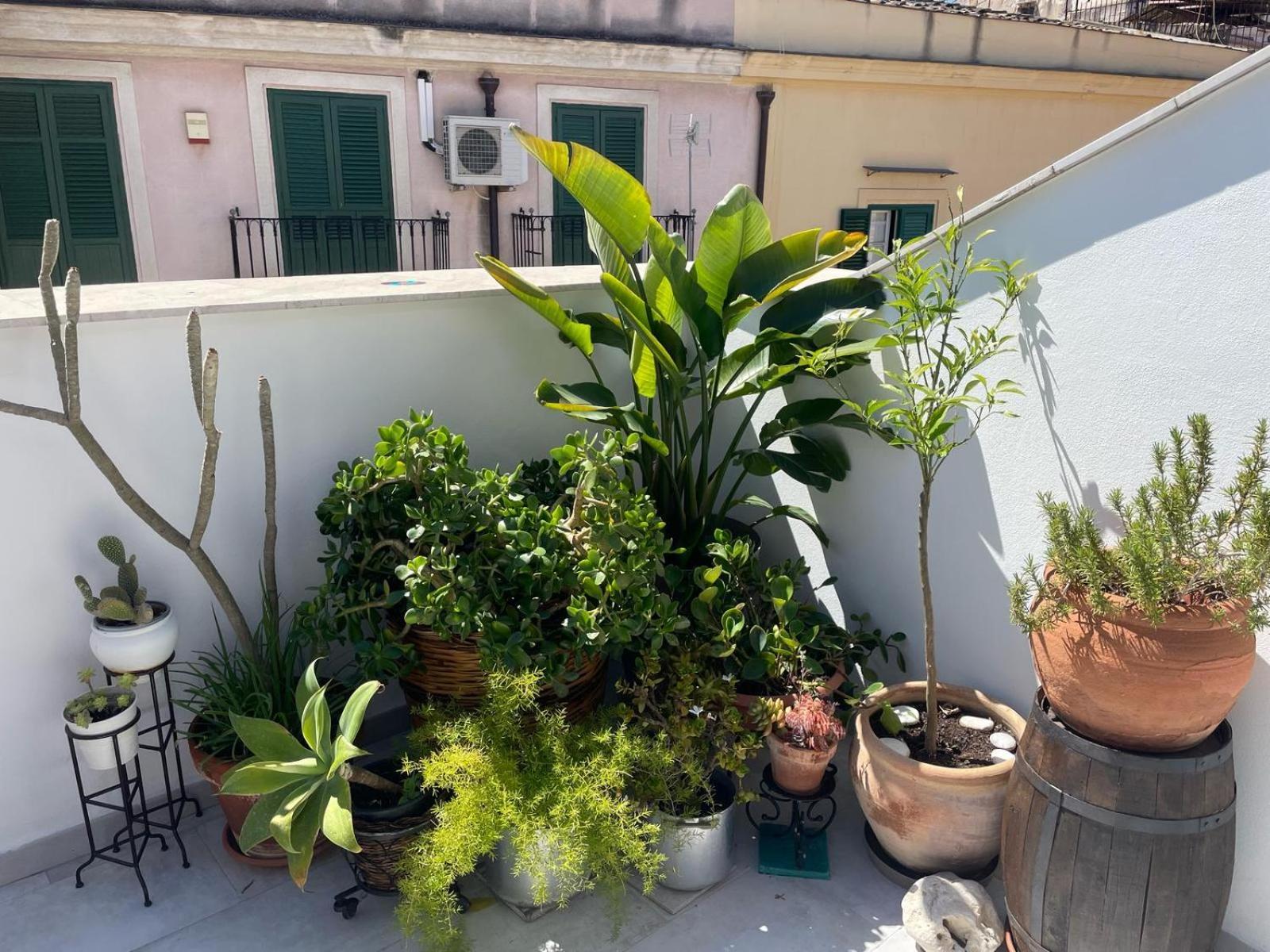 Terrazza Alla Cala パレルモ エクステリア 写真